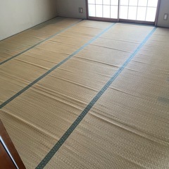 上敷き 江戸間8畳×2枚の画像