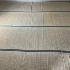 上敷き 江戸間8畳×2枚の画像