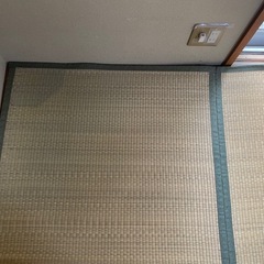 上敷き 江戸間8畳×2枚の画像