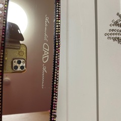 最終値下げ激安DADギャルソンルームミラーの画像