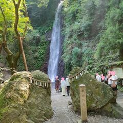 🌿養老の滝 ハイキングコン 東海 軽登山 🍃恋活 / 友活