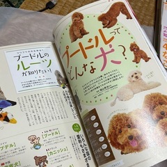 いぬのきもち特別編集 プードル もっと楽しくなる本 ベネッセ・ムックの画像