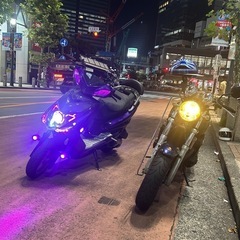 シグナスX３型カスタムの画像