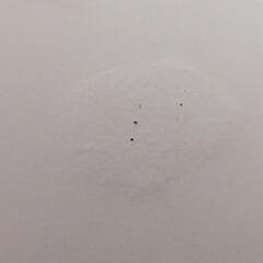 無料　折りたたみ　ちゃぶ台 ローテーブルの画像