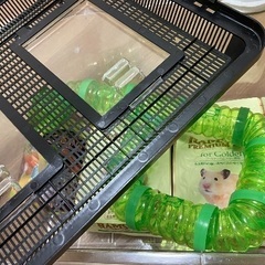 取引きまりました。ありがとうございます。の画像