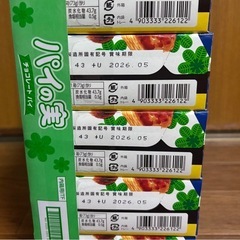 パイの実×10個⚠️残り1セットの画像