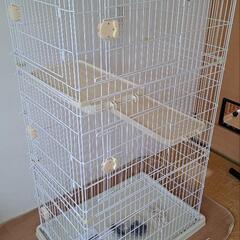 ｢相談中｣猫ゲージの画像