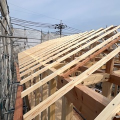 	「地元出身歓迎！未経験から大工職人にの画像