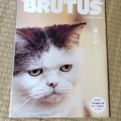 きょうの料理ビギナーズ、ゆうゆう保存版、BRUTUS猫特集の画像