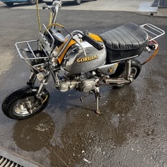 ⭐︎ ホンダゴリラ　モンキーの画像
