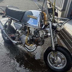 ⭐︎ ホンダゴリラ　モンキーの画像