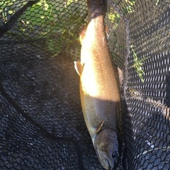 釣り仲間 − 長野県