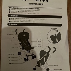 バギーfanネオの画像