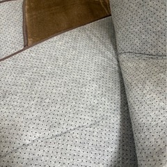 ホットカーペット+カーペットのセットの画像