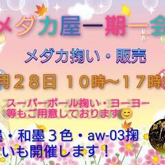 🍠道の駅くりもと🍠メダカ掬い・販売