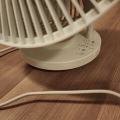 360° Muji fan - Largeの画像