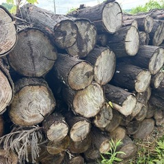 杉薪🌲たくさんあります❗️キャンプ、バーベキュー、イベントなどの画像