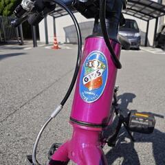 18インチ　子供用自転車　GIOS GENOVA 18の画像