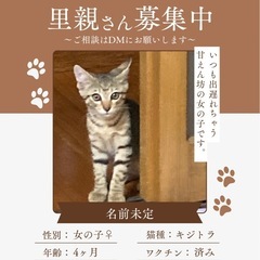 4ヶ月メス︎︎ ♀