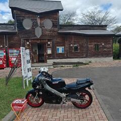 緩募 カワサキ ZXR250 4気筒マルチの画像