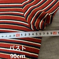UNIQLO ストライプ Tシャツ XL 赤シャツの画像