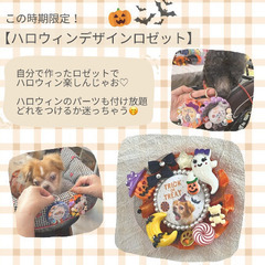 【ロゼット🏵️ワークショップ】【ペット同伴OK】の画像
