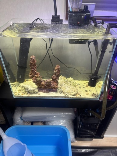 海水水槽丸ごと