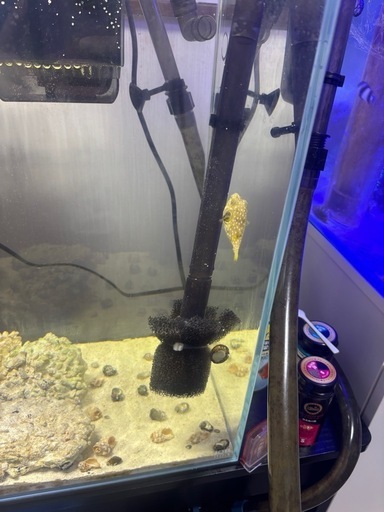 海水水槽丸ごと