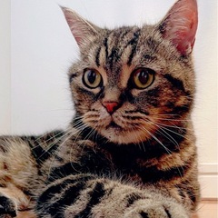 飲み友・女子友募集中😊