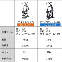 ホームジム マルチ トレーニング 器具 セット 総合 大型 ワイヤー式 マシン 重りの無い静音設計 BODY WEIGHT GYM DX LS-SA-690の画像