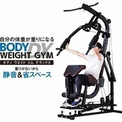 ホームジム マルチ トレーニング 器具 セット 総合 大型 ワイヤー式 マシン 重りの無い静音設計 BODY WEIGHT GYM DX LS-SA-690の画像
