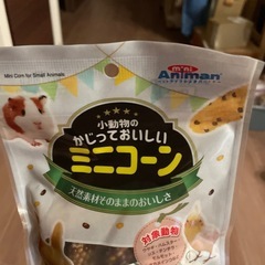 小動物のかじっておいしいミニコーンの画像