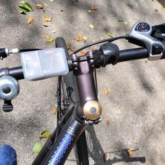 THIRDBIKES　フェスモーターの画像