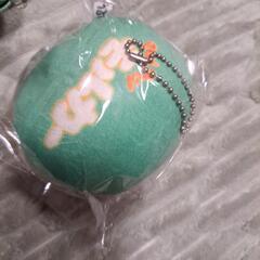 PUI PUI モルカーマスコットの画像