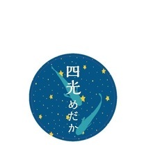 9月8日　四光めだか　めだか無人販売　横須賀市長井
