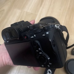 sony a7r3a + 28-200 タムロン+50 f2 ttartisan +oreo lense       
カメラの画像