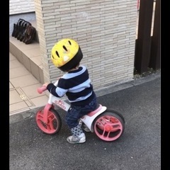 自立する最初のストライダーの画像