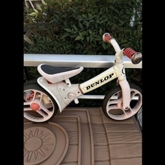 自立する最初のストライダーの画像