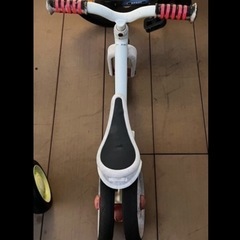 自立する最初のストライダーの画像