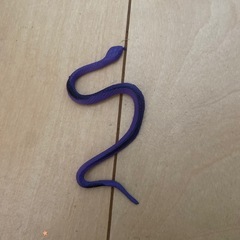 虫のおもちゃの画像