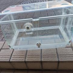 ハムスターのおうち　横長引き取り限定の画像