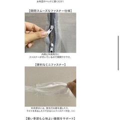 フクロモモンガ　蚊帳ンポ　蚊帳　　　　　の画像