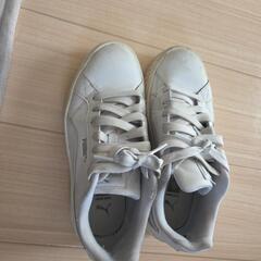 PUMA　スニーカー24センチの画像