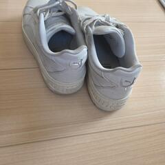 PUMA　スニーカー24センチの画像