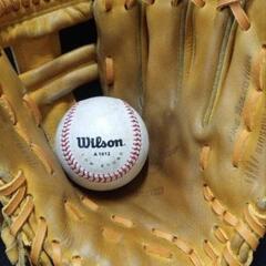 《中古》ミズノプロ　軟式内野手用グローブ　mizuno proの画像