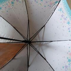 キッズ 50cm傘 ホワイトの画像