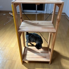 棚の画像
