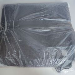 ホットカーペット　美品の画像