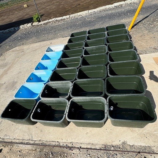 メダカ飼育容器 角型タライ36型 オーバーフロー有り10個 無し20個 合計30個