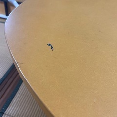 半円型テーブル（キャスター付き）の画像
